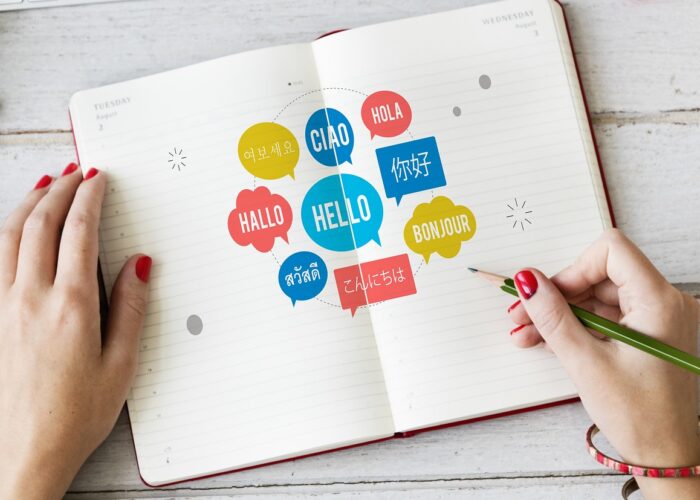 Exploring the Zoni Portal: A Comprehensive Guide img